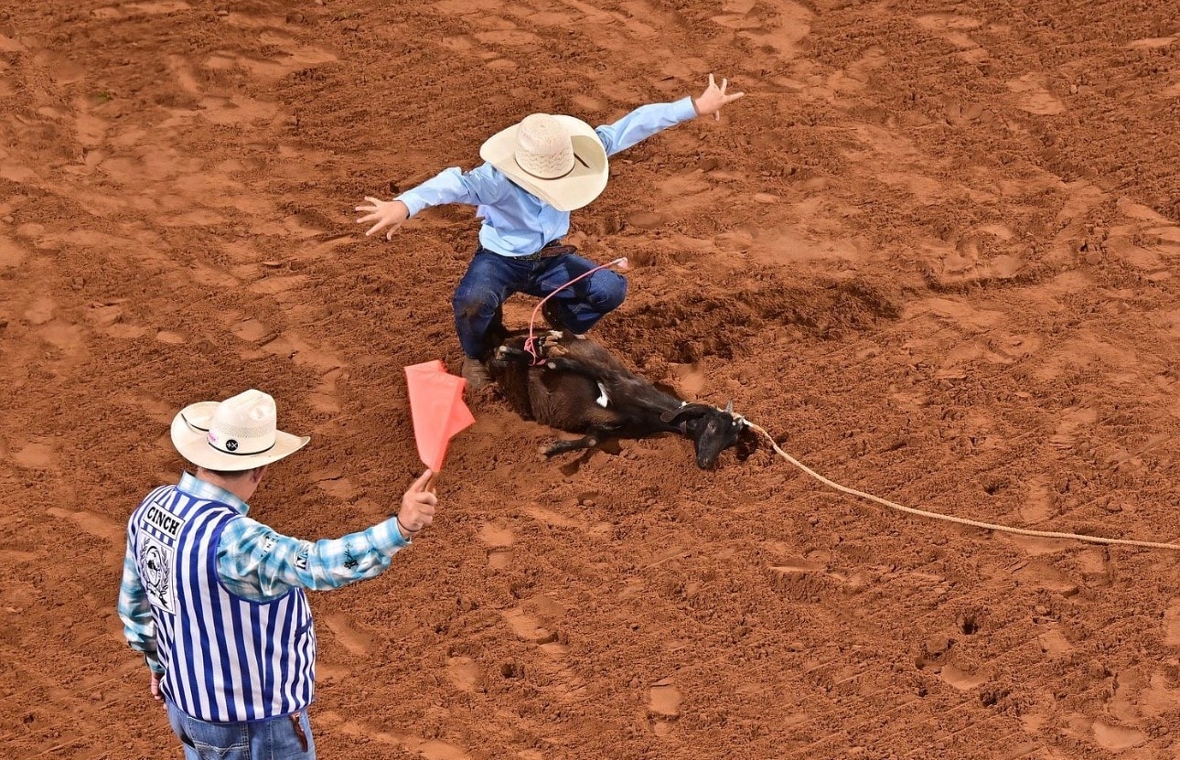 Goat Tying