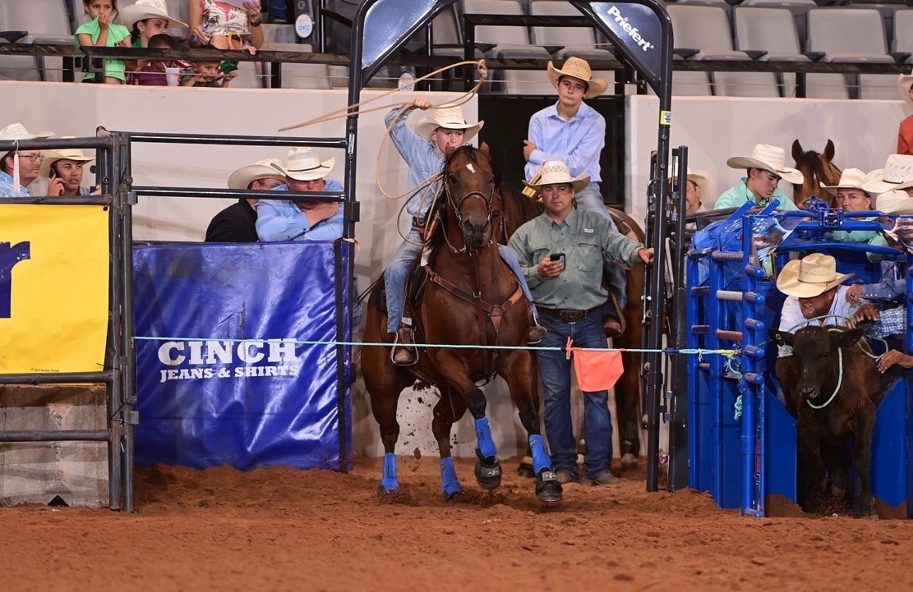 Rodeo